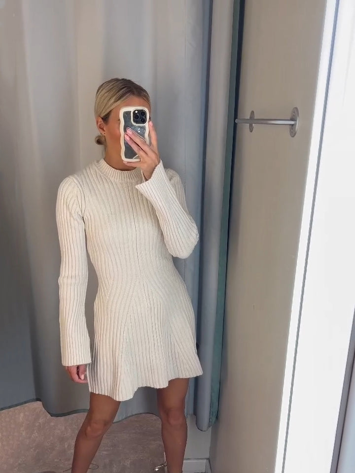 Rib Knit Sweater Mini Dress